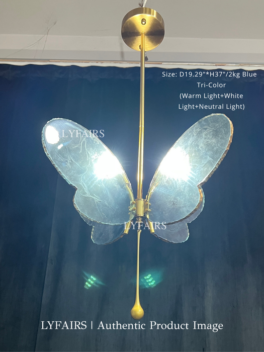 Colgante Acrílico Mariposa Colorida Diseño Artístico para Sala de Estar/Dormitorio/Pasillo/Entrada