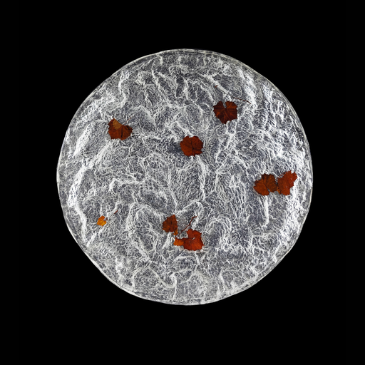 LYFAIRSxGORDON_GU_Bodega_Tea_Table With Glacier Crystal Top and Black Grapevine Leg for Living Room