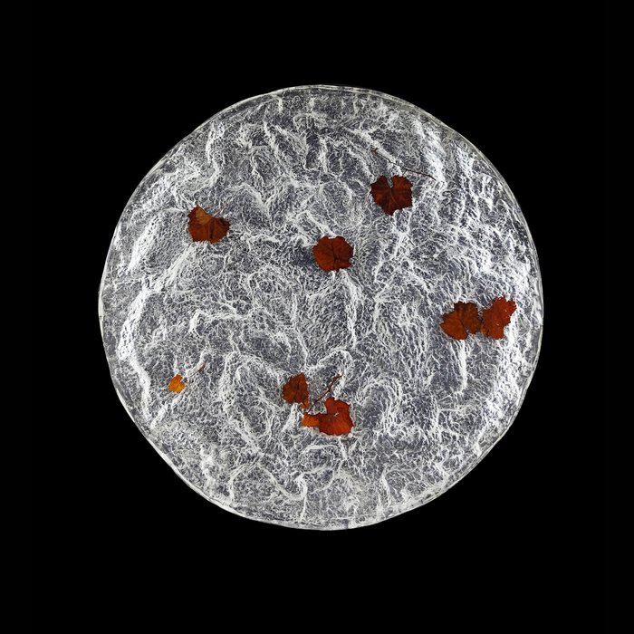 LYFAIRSxGORDON_GU_Bodega_Tea_Table With Glacier Crystal Top and Black Grapevine Leg for Living Room