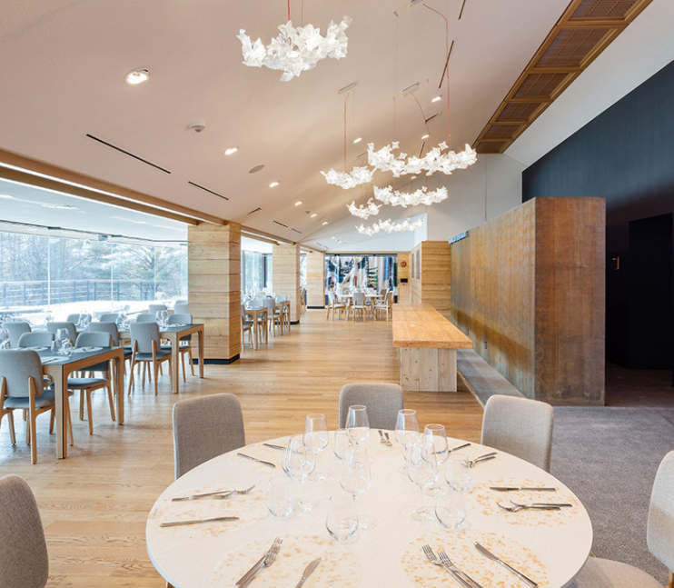 Italian Art Star Cluster Suspension Pendant Chandelier for Kitchen Island/Living/Dining Room